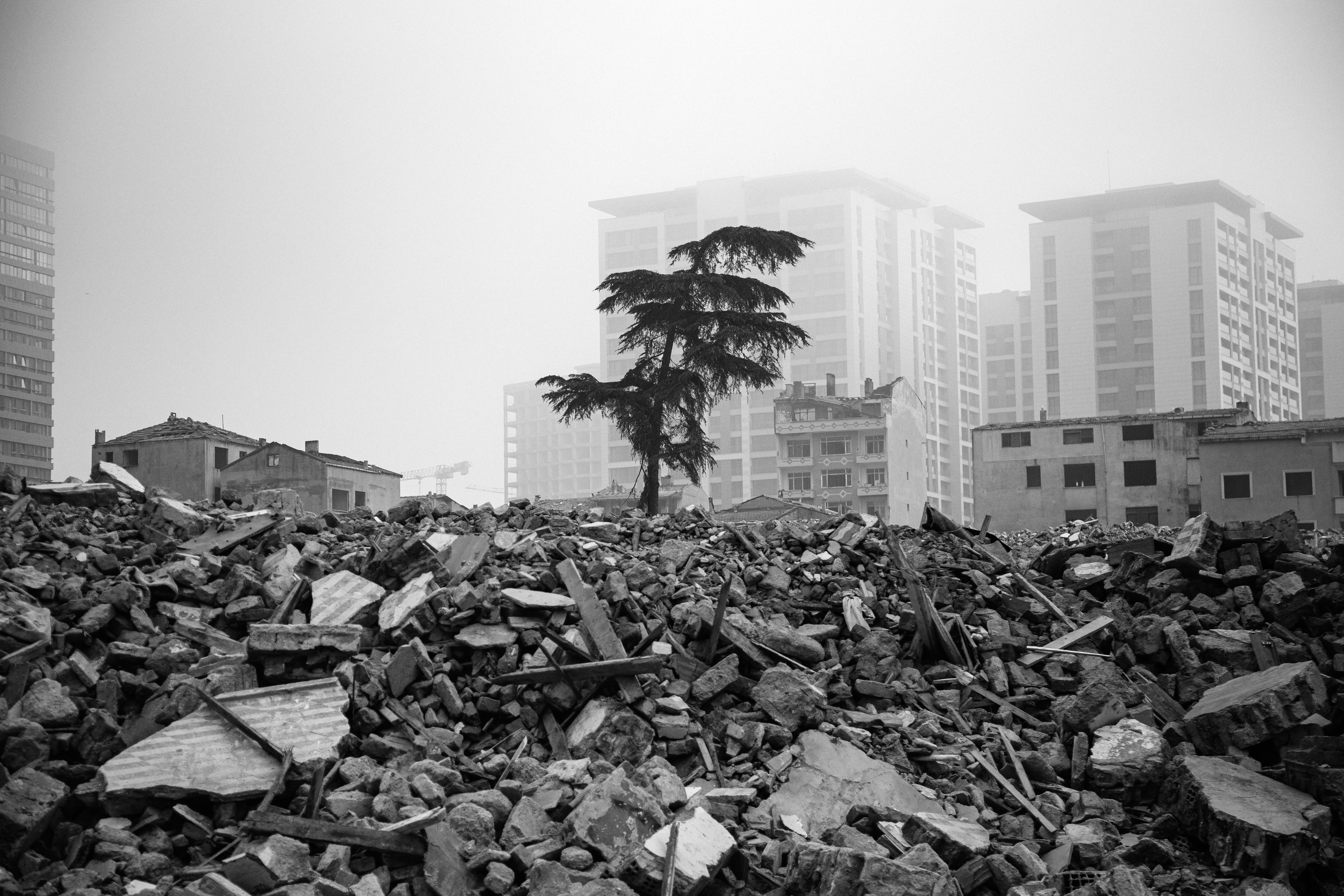 FREEDOM AND URBANITY: ISTANBUL THROUGH PHOTOGRAPHS